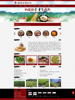 長沙網(wǎng)站建設
